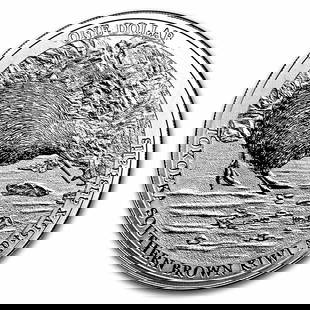2023 New Zealand 1 oz Silver Tokoeka Kiwi Specimen: 2023 New Zealand 1 oz Silver Tokoeka Kiwi Specimen Product ID: 261984 Year: 2023 Grade: Specimen Grade Service: None Denomination: 1 Dollar Mint Mark: None Metal Content: 1 troy oz <b