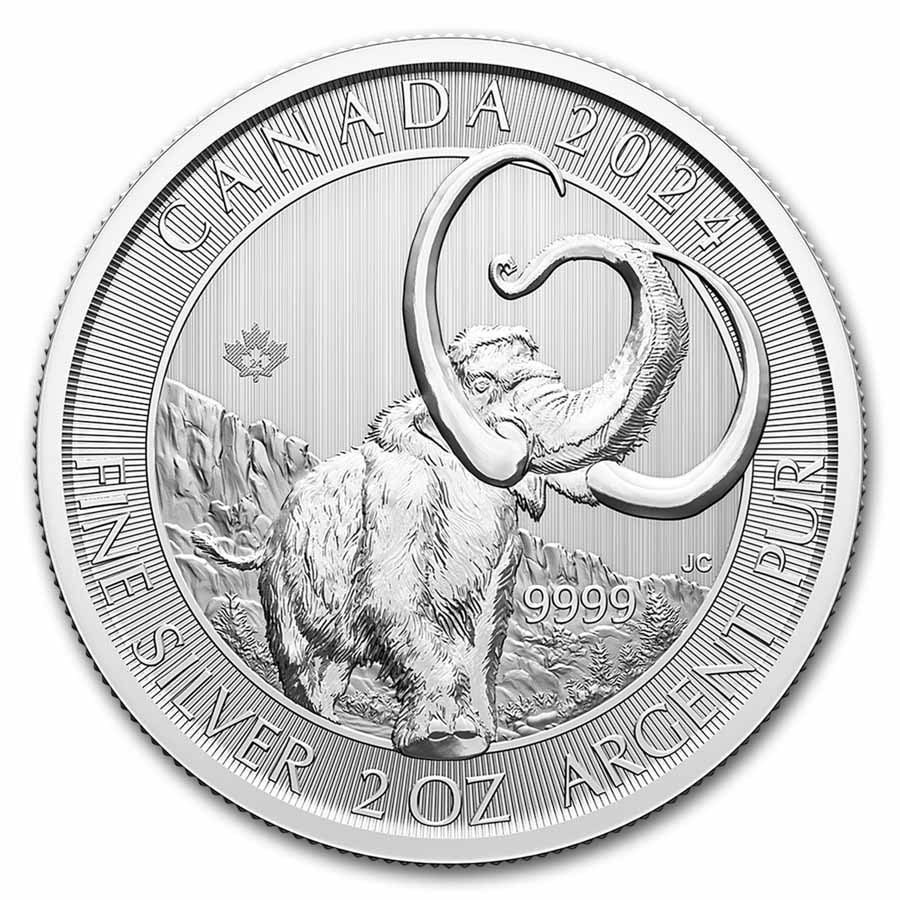 2024 RCM 2 oz Silver Ice Age of Canada Woolly Mammoth BU: 2024 RCM 2 oz Silver Ice Age of Canada Woolly Mammoth BU SKU no: RBJ 291736 Year: 2024 Grade: Brilliant Unc Grade Service: None Denomination: 10 Dollars Mint Mark: RCM (Not Shown) Metal C