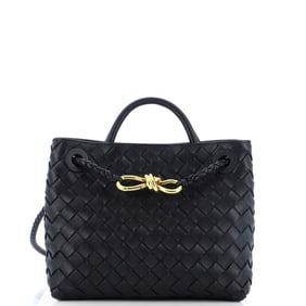 Bottega Veneta Andiamo Top Handle