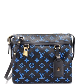 Louis Vuitton Speedy Amazon Bag