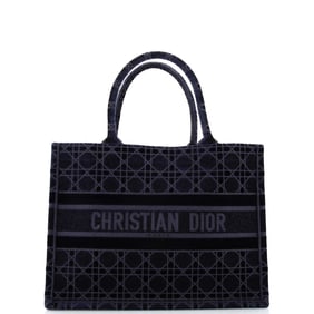 Christian Dior Book Tote Cannage