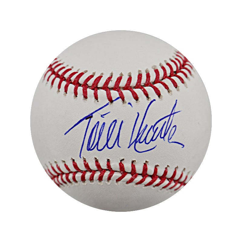 torii hunter autographed bud selig OML baseball (JSA): torii hunter autographed bud selig OML baseball (JSA) Torii Hunter Autographed Bud Selig OML Baseball (JSA) SKU no: RBJ7485826662488
