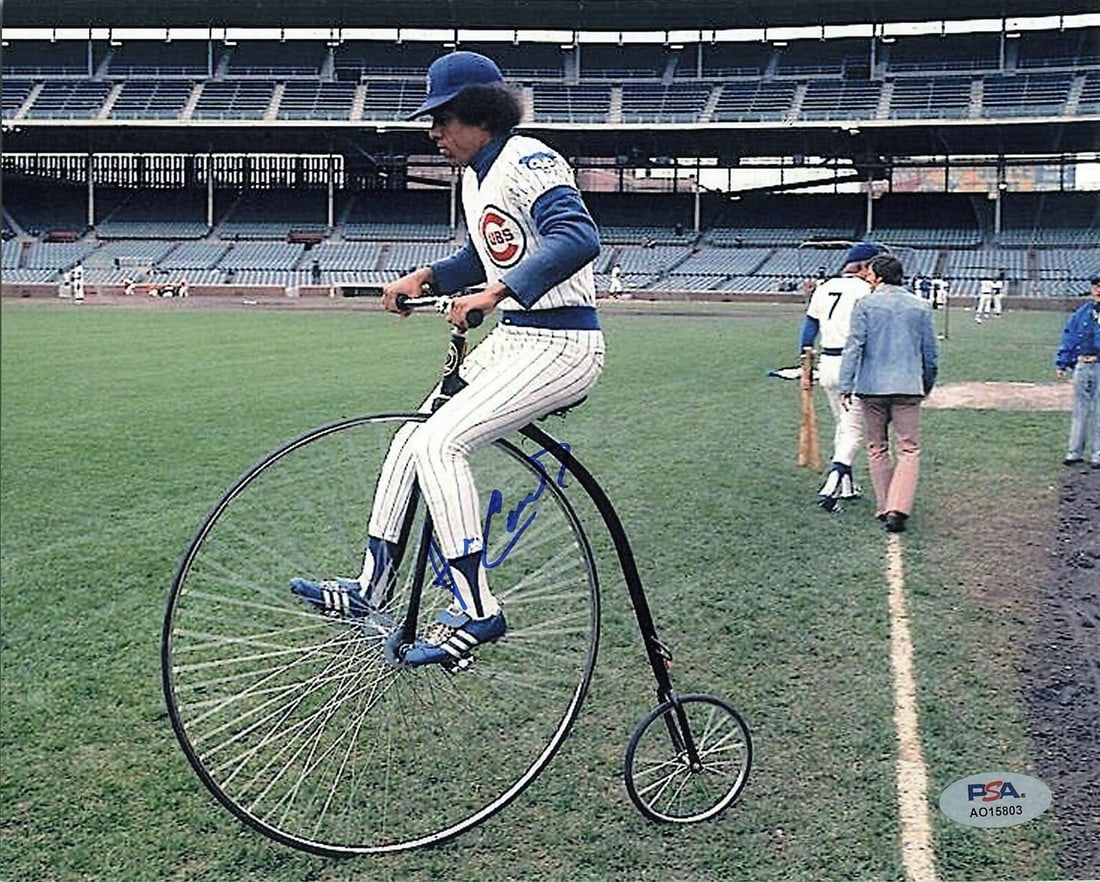 jose cardenal signed 8x10 photo: jose cardenal signed 8x10 photo PSA/DNA chicago cubs autographed JOSE CARDENAL signed 8x10 photo PSA/DNA Chicago Cubs Autographed SKU no: RBJ7992303878232