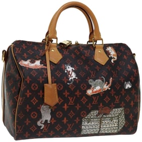 LOUIS VUITTON Catgram Speedy Bandouliere 30