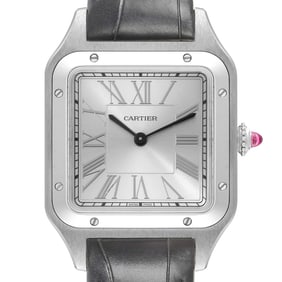Cartier Santos Dumont Le Bresil Platinum