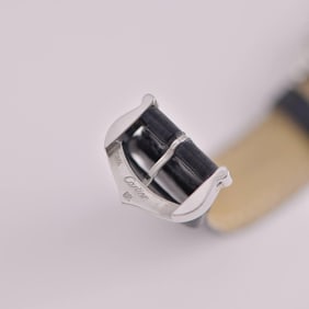 Cartier Santos-Dumont Watch Small Model W2SA0012