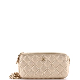 Chanel Double Zip Clutch with Chain