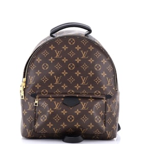 Louis Vuitton Palm Springs Backpack Monogram