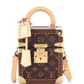Louis Vuitton Camera Box Trunk Bag