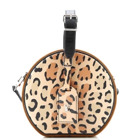 Louis Vuitton Petite Boite Chapeau Bag