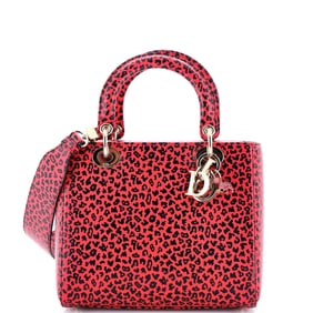 Christian Dior Lady Dior Bag Printed