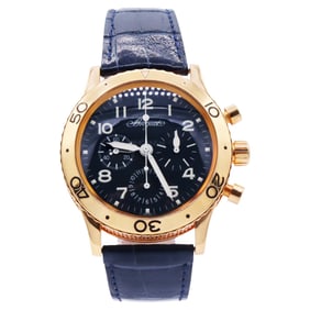 Breguet Type XX - XXI -