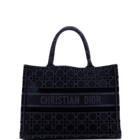 Christian Dior Book Tote Cannage Embroidered