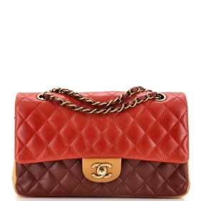 Chanel Tricolor Classic Double Flap Bag