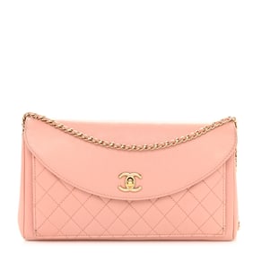 Chanel Iridescent Calfskin Smart Pocket Flap