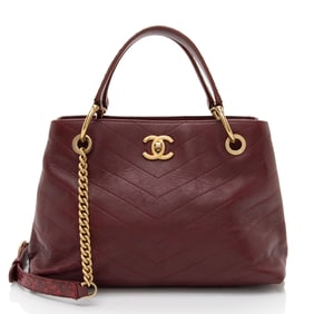Chanel Chevron Calfskin Python Chic Small