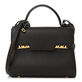 Delvaux Smooth Calfskin Mini Tempete Satchel