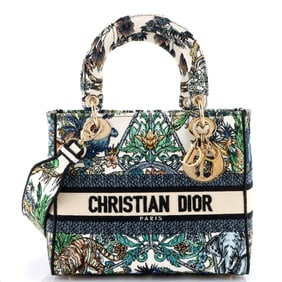 Christian Dior Lady D-Lite Bag Embroidered