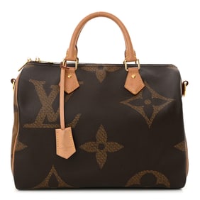 Louis Vuitton Reverse Monogram Giant Speedy