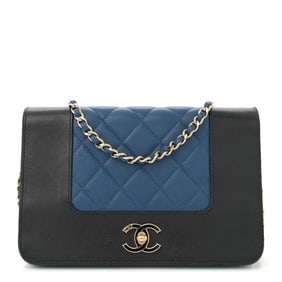 Chanel Sheepskin Quilted Vintage Mademoiselle Wallet