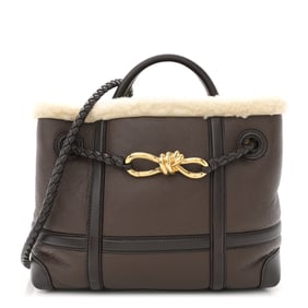 Bottega Veneta Shearling Aviator Small Andiamo