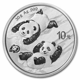 2022 China 30 gram Silver Panda