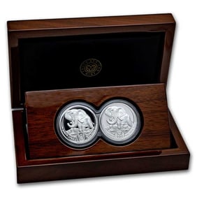 2024 South Africa 2-Coin Silver Big