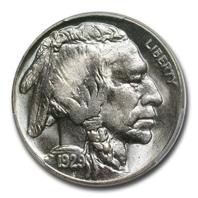 1929 Buffalo Nickel MS-65 PCGS