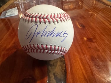 john smoltz signed baseball