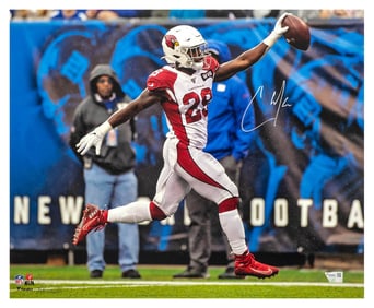 chase edmonds signed cardinals celebrating with