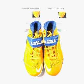 Draymond Green Signed Shoes PSA/DNA LOA