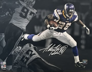 adrian peterson signed minnesota vikings 16x20