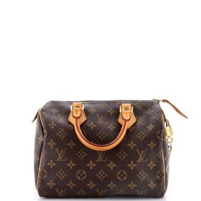 Louis Vuitton Speedy Handbag Monogram Canvas