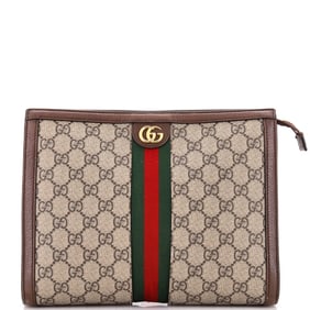 Gucci Ophidia Pouch GG Coated Canvas