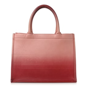 Christian Dior Gradient Smooth Calfskin Embossed