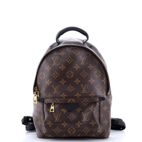 Louis Vuitton Palm Springs Backpack Monogram