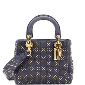 Christian Dior Supple Lady Dior Bag