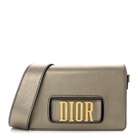Christian Dior Metallic Grained Calfskin Dio(r)evolution