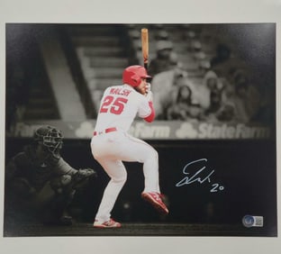 jared walsh signed angels 11x14 photo