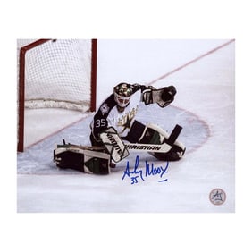 andy moog signed dallas stars goalie