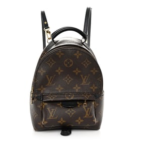 Louis Vuitton Monogram Palm Springs Backpack