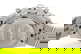 item-208792507=1