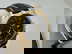 item-208795648=8