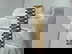 item-208792825=4