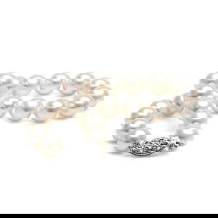 White Freshwater Pearl Bracelet, 7.5-8.0mm: White Freshwater Pearl Bracelet, 7.5-8.0mm AA+ / 14kt Yellow Gold Guidelines for Bidding We recommend for all bidders to review the LiveAuctioneers bidding FAQ to learn about the auction and