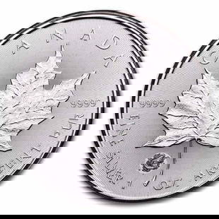 2024 RCM $5 1 oz Silver: 2024 RCM $5 1 oz Silver Treasured Maple Leaf Year of the Dragon SKU no: RBJ288725 Year: 2024 Grade: Brilliant Unc Grade Service: None Denomination: 5 Dollars Mint Mark: RCM (Not Shown) Me