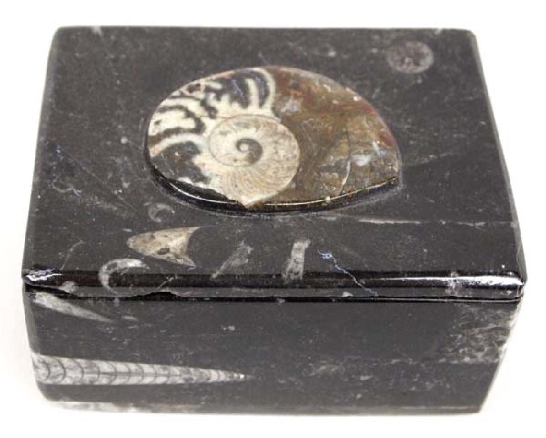 Orthoceras Fossil Lidded Trinket Box (1 of 4)