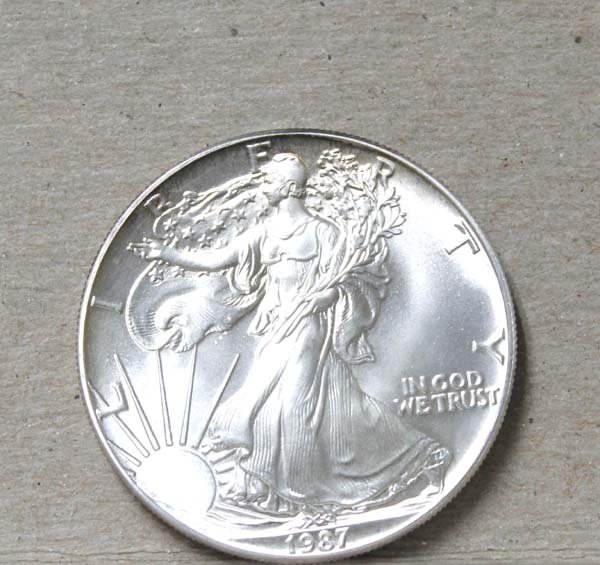 1987 Silver Eagle Dollar (1 of 2)