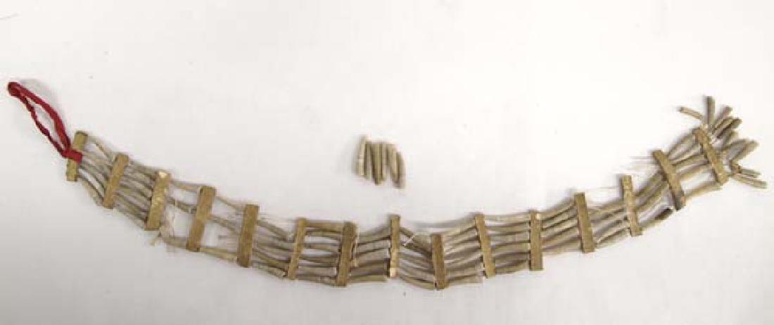 Antique Plains Indian Dentalium Choker: Antique Plains Indian Dentalium Choker. Measures 14 in end to end. Missing one side of beads. Some miscellaneous loose beads.