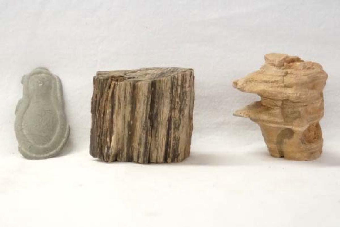 Petrified Wood & Rock Specimens 3in SH $10 (1 of 1)